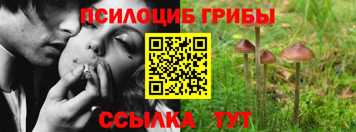 Псилоцибиновые грибы прущие грибы  Псилоцибиновые грибы Cubensis  дарнет шоп  Вход с VPN  Гулькевичи 